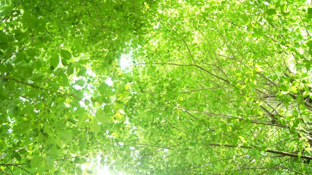 202 エンジェルナンバー