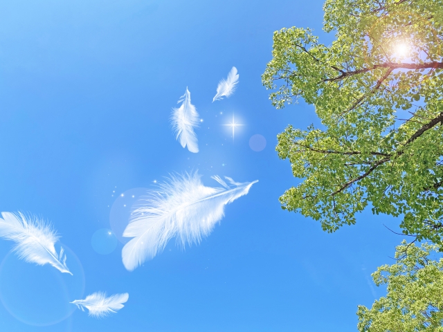 天使からのメッセージ