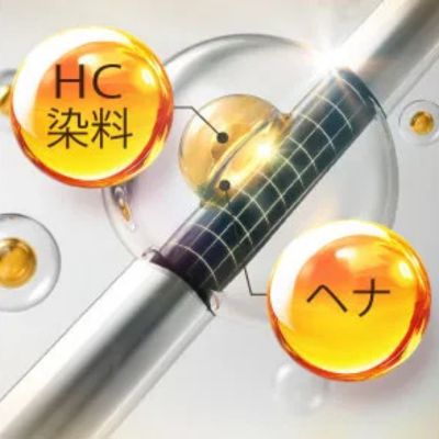 b.ris veilモイストカラーシャンプー商品画像