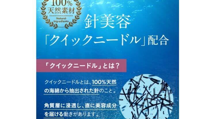 公式サイトからの引用画像