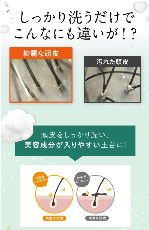 頭皮洗浄