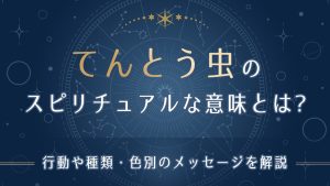 てんとう虫のスピリチュアルな意味とは-アイキャッチ