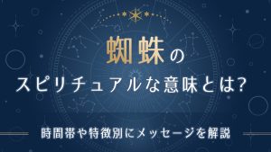 蜘蛛のスピリチュアルな意味とは？朝や夜の蜘蛛、白い蜘蛛など時間帯・特徴別の暗示-アイキャッチ