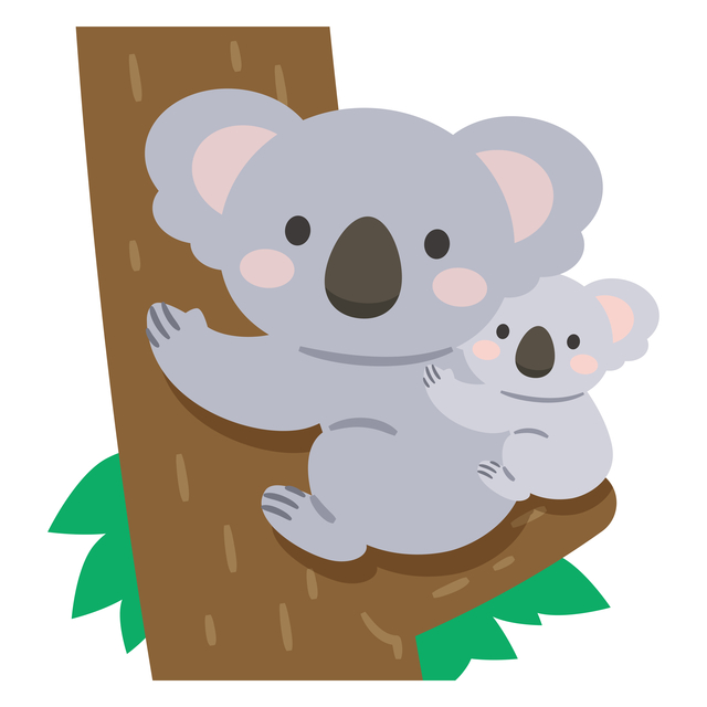 コアラ女性の特徴