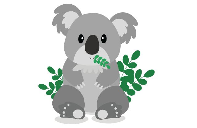 コアラ