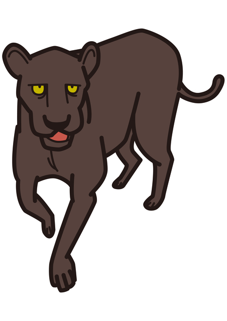 黒ひょう女性の特徴