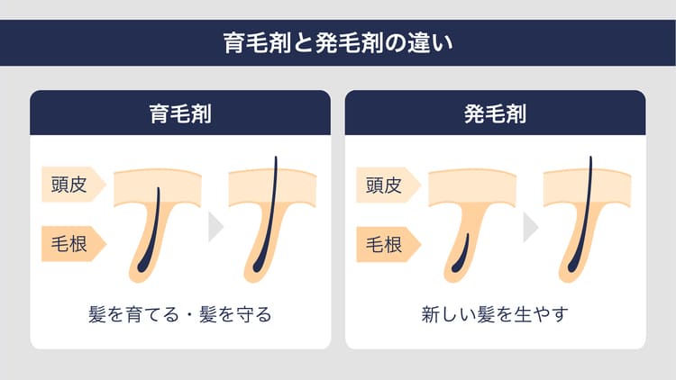 育毛剤と発毛剤の違い