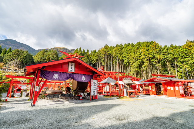 宝来宝来神社で楽しむデートプラン概要
