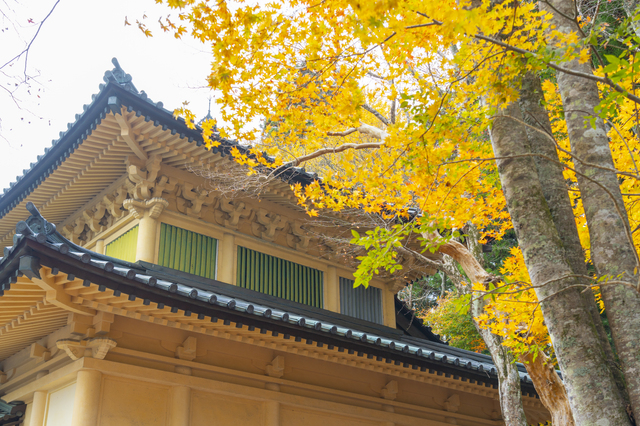 高野山霊宝館のデートプラン紹介