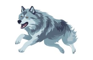 狼