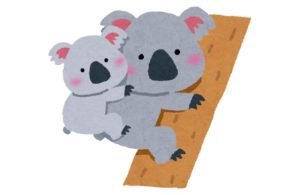 コアラ