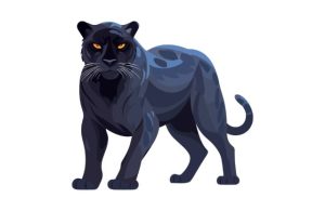 クロヒョウ