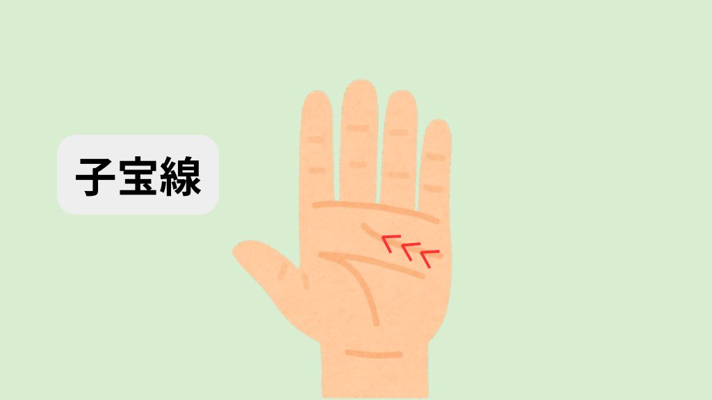 子宝線の位置