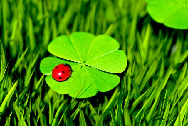 【ほくろ占い】運勢が良い幸運ほくろ8選