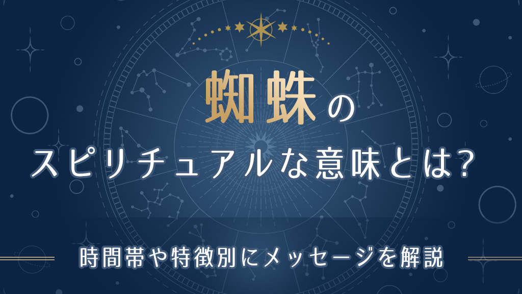 蜘蛛のスピリチュアルな意味とは?朝や夜の蜘蛛、白い蜘蛛など時間帯・特徴別の暗示-アイキャッチ