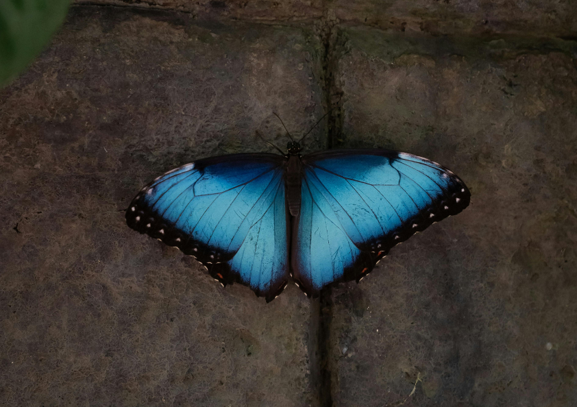 状況別の意味と対処