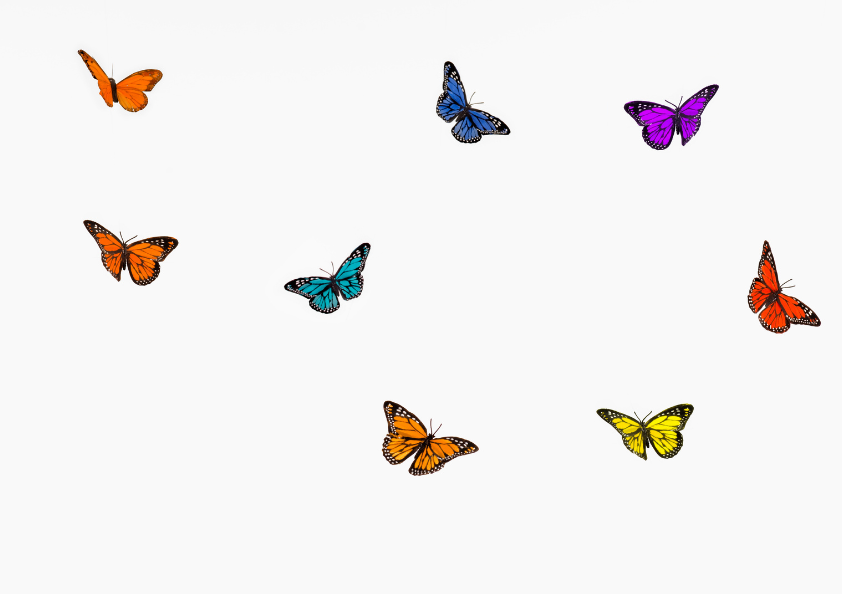 属性別の象徴と読み方